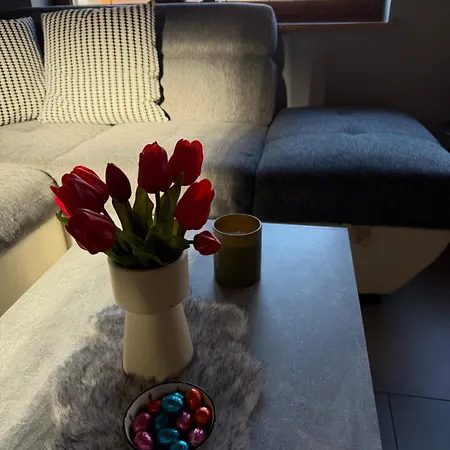 Appartement Wg-zimmer-monteurzimmer-ferienwohnung Bis 10 Personen