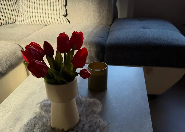 Lejlighed Wg-zimmer-monteurzimmer-ferienwohnung Bis 10 Personen
